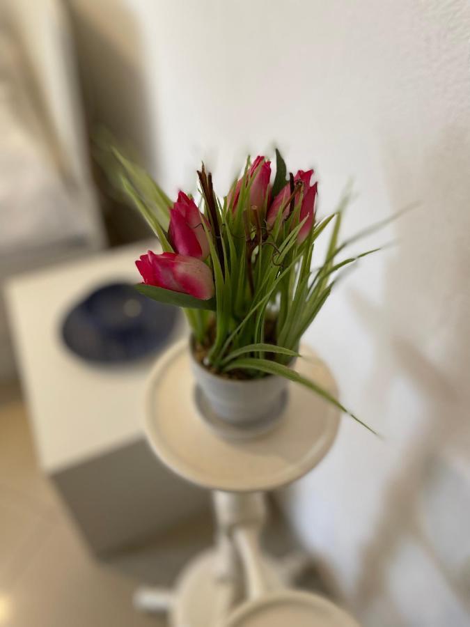 Studio Apartment Klaric ヴィス エクステリア 写真